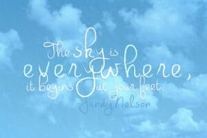 The Sky Is Everwhere